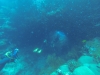 DCIM101GOPRO