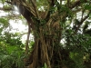 ilotcasy004