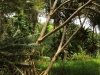 ilotcasy006